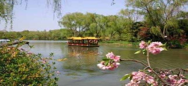 春堤荫柳 春堤荫柳
