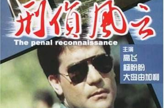 刑侦风云 刑侦风云