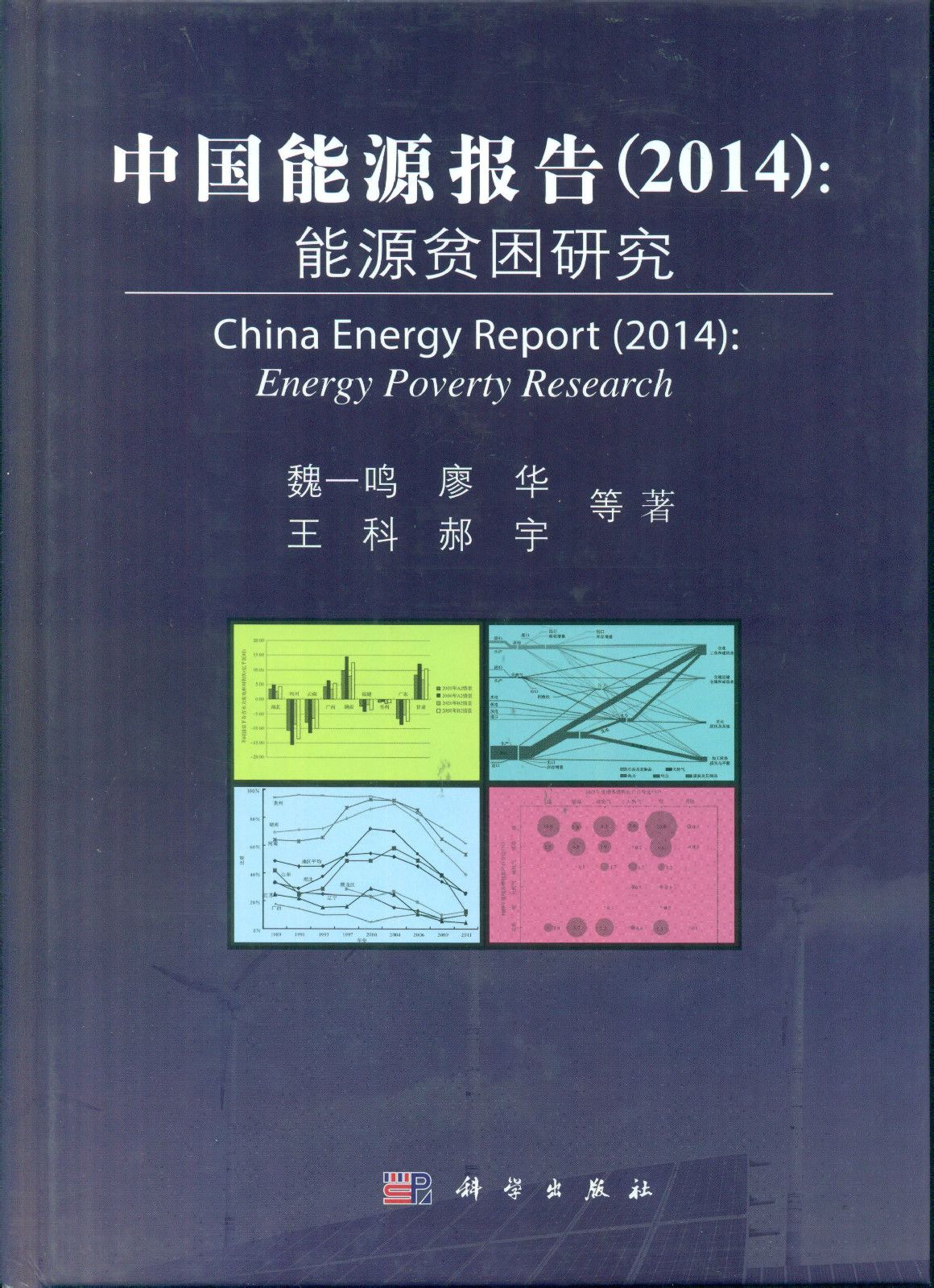 中国能源报告(2014):能源贫困问题研究 中国能源报告(2014):能源贫困问题研究