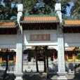 玉台坑 玉台坑