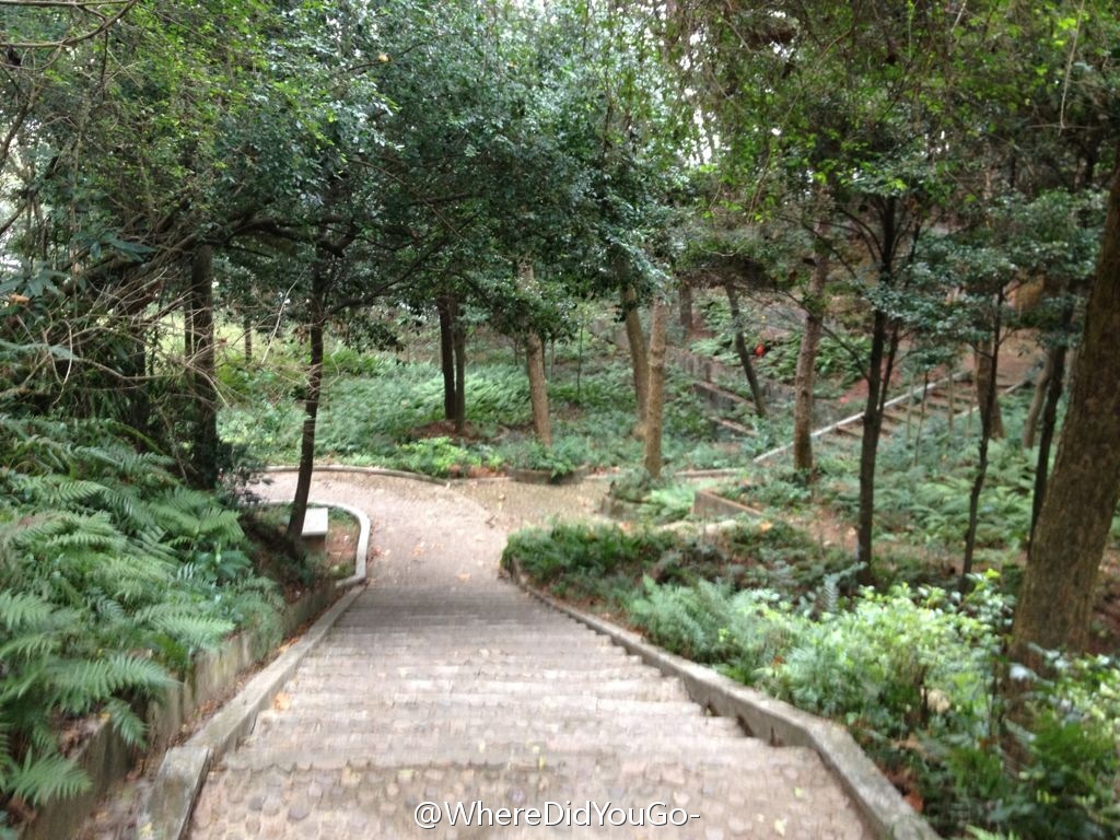 神光山国家森林公园 神光山国家森林公园