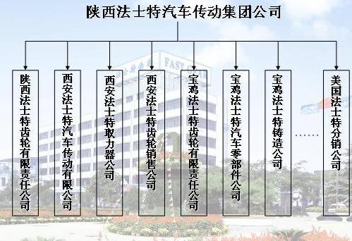 组织机构 组织机构