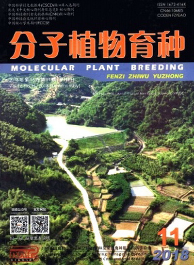 分子植物育种 分子植物育种