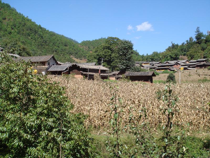 友好村(四川成都青白江区清泉镇友好村) 友好村(四川成都青白江区清泉镇友好村)