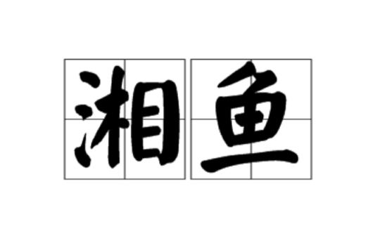 湘鱼