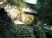 刘基听泉 刘基听泉