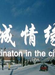 张英红