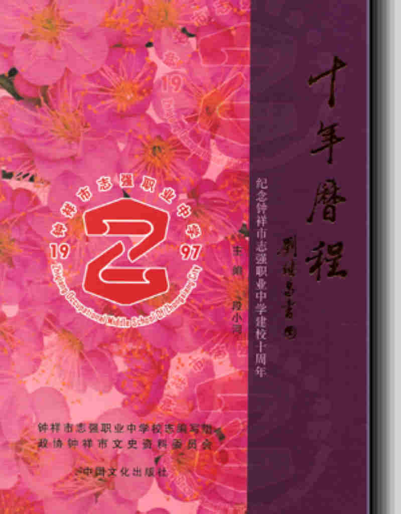 十年历程 十年历程