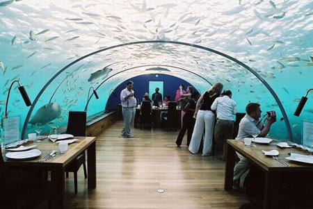 海底餐厅 海底餐厅