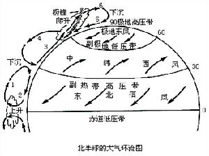 东风带 东风带