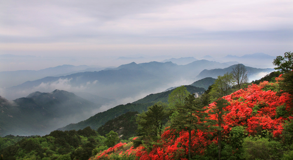 小金山村 小金山村