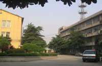 洛河镇 洛河镇