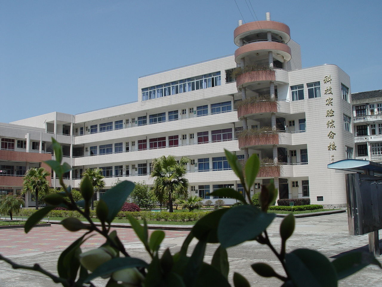 灵溪二小校园 灵溪二小校园