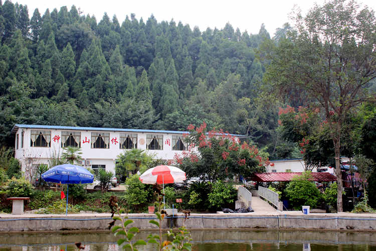 钟山村(黑龙江穆稜市八面通镇钟山村) 钟山村(黑龙江穆稜市八面通镇钟山村)