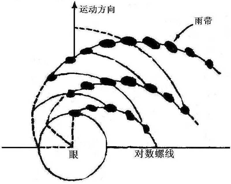 图2雨带相对于颱风中心的移动模式(Tatehira,1962) 图2雨带相对于颱风中心的移动模式(Tatehira,1962)
