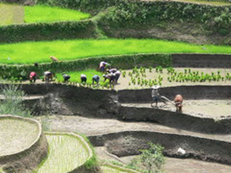村民生活劳动场景 村民生活劳动场景