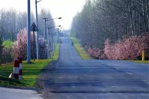 合肥最美乡村公路 合肥最美乡村公路