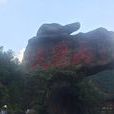 大觉山(江西资溪大觉山) 大觉山(江西资溪大觉山)
