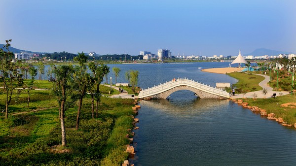 淠阳湖公园 淠阳湖公园