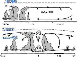 图5 热带太平洋地区纬向环流圈与云分布 图5 热带太平洋地区纬向环流圈与云分布
