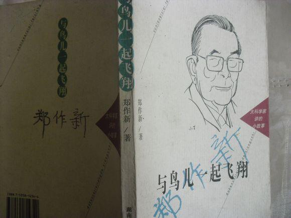 与鸟儿一起飞翔 与鸟儿一起飞翔