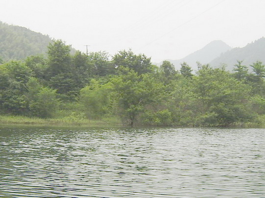 苏红村 风景 苏红村 风景