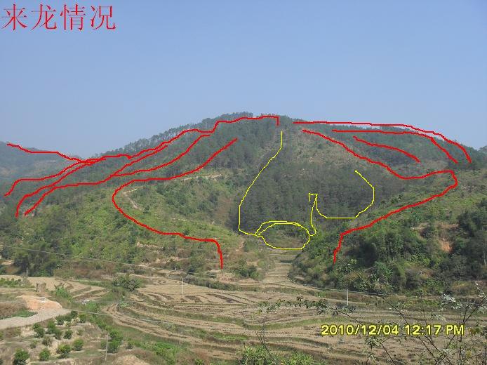 高坑村(福建省泉州晋江市陈埭镇下辖村) 高坑村(福建省泉州晋江市陈埭镇下辖村)