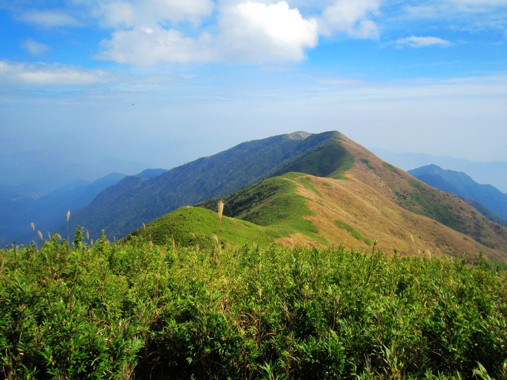 神农峰 神农峰