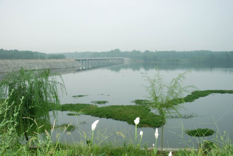 赵河镇东新区绿地水面 赵河镇东新区绿地水面