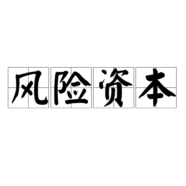 风险资本 风险资本