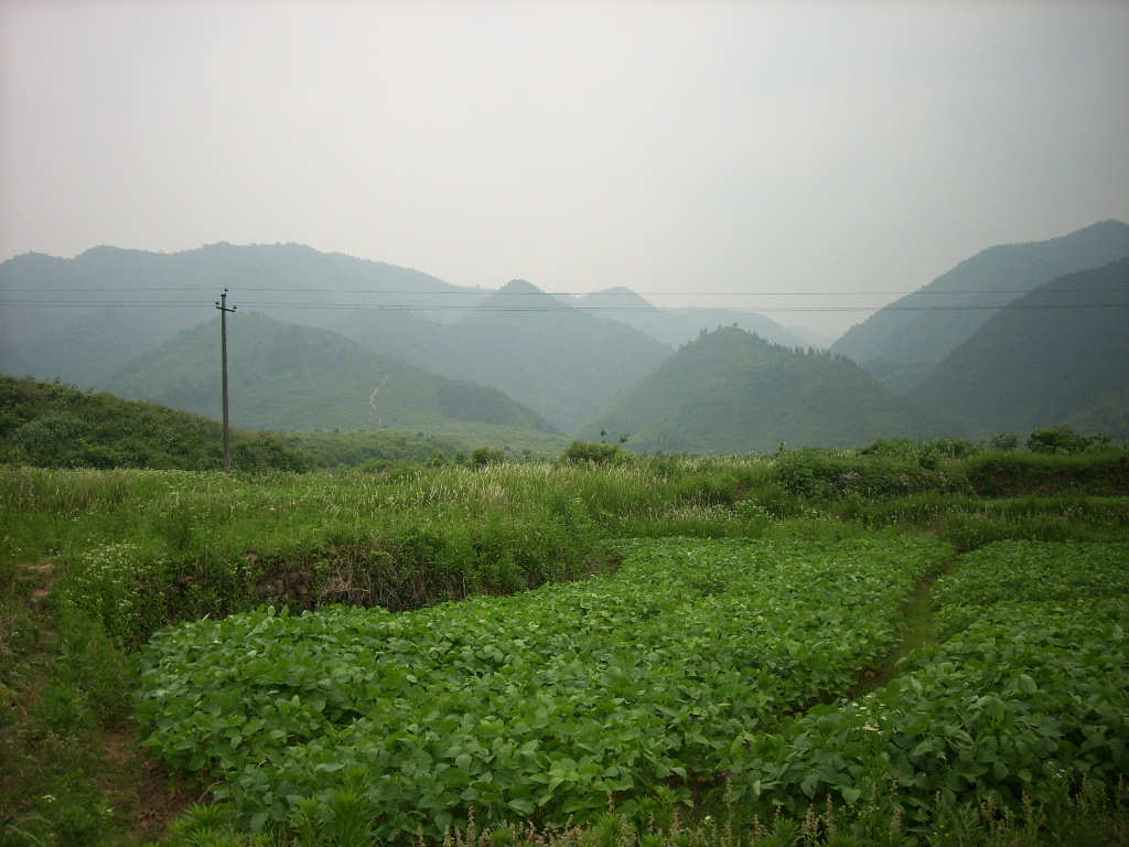 农村风光 农村风光