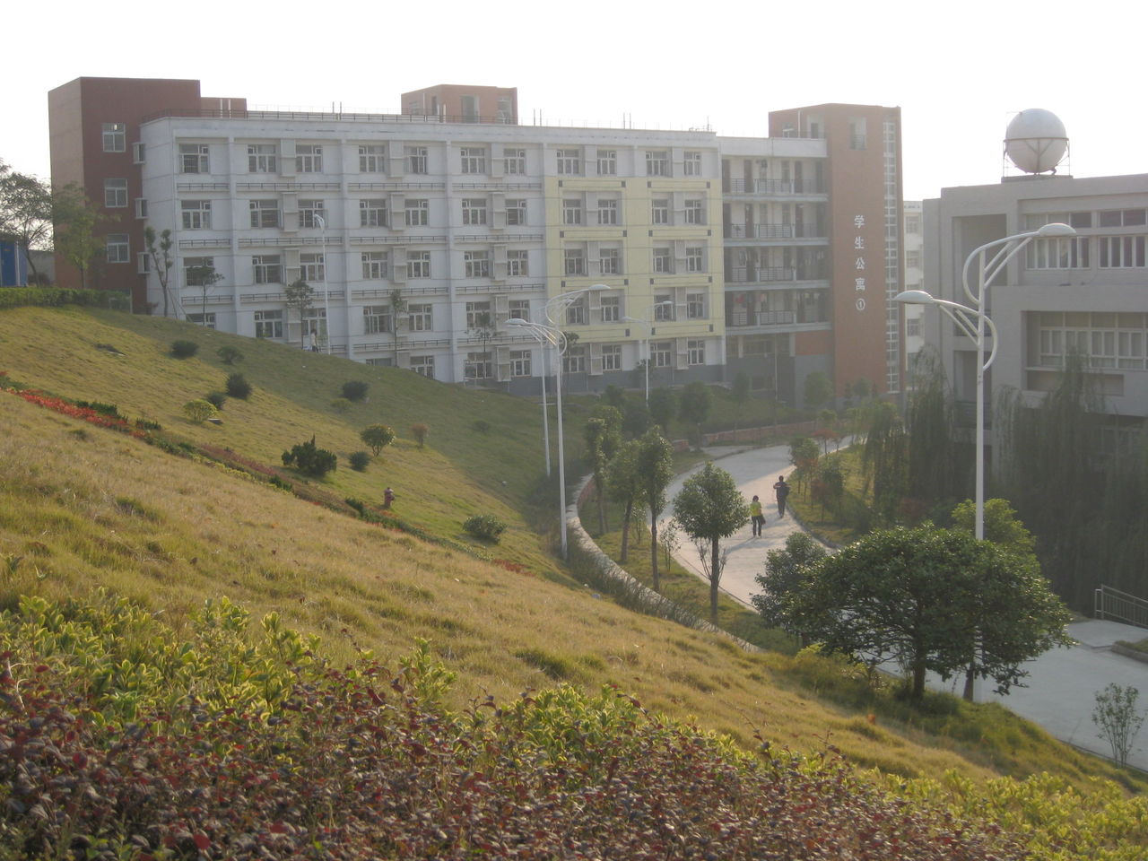 大草坪 建筑为宿舍群 大草坪 建筑为宿舍群