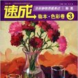 速成临本·色彩卷3:色彩静物质感表达 速成临本·色彩卷3:色彩静物质感表达