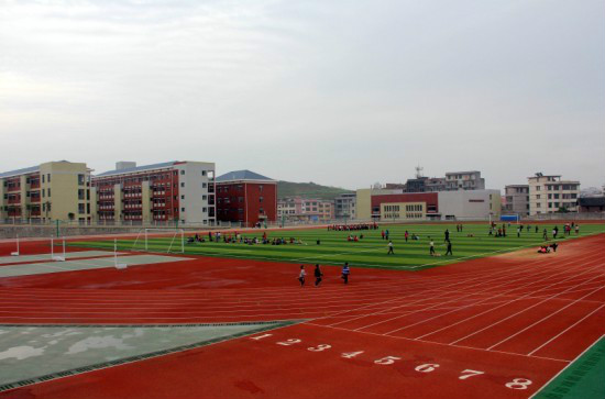 隆回县九龙学校 隆回县九龙学校