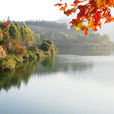 联溪村(广东省惠州市惠阳区镇隆镇联溪村) 联溪村(广东省惠州市惠阳区镇隆镇联溪村)