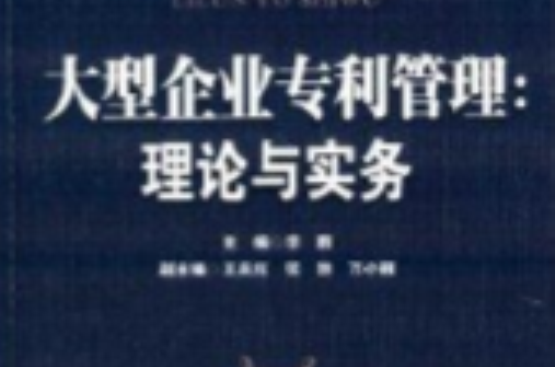 大型企业专利管理:理论与实务 大型企业专利管理:理论与实务