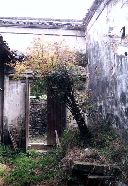 叶家大屋内小院 叶家大屋内小院