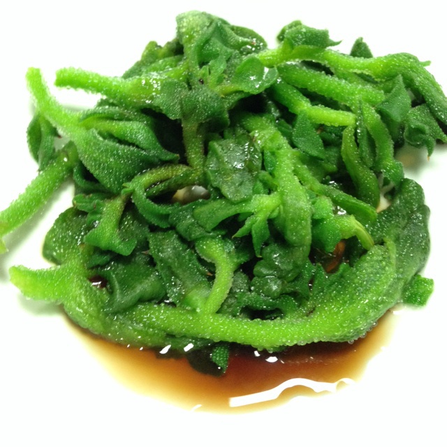 白灼非洲冰草