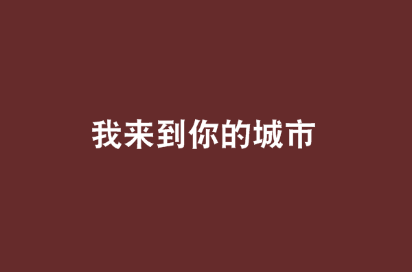 我来到你的城市(网路小说)