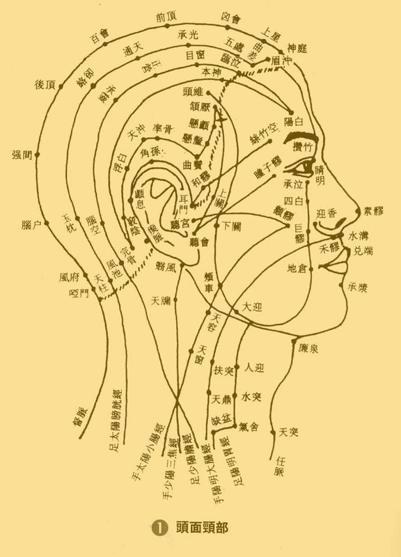 中医(传统中国医学) 中医(传统中国医学)