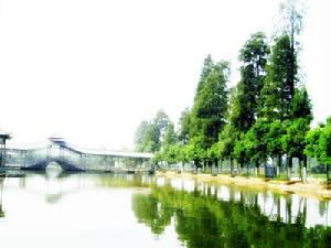 严西湖湿地生态园 严西湖湿地生态园