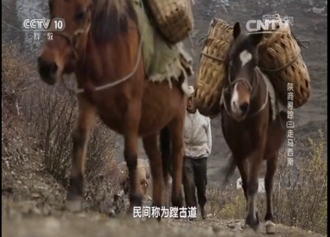 蹚古道图片 蹚古道图片