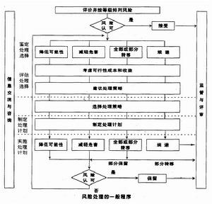 战略风险管理 战略风险管理