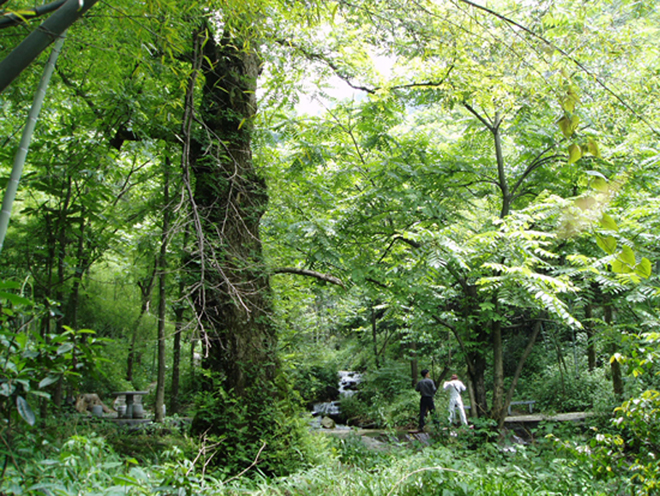 云山 云山