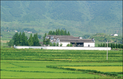 云岭风貌 云岭风貌