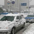 雪天行车 雪天行车