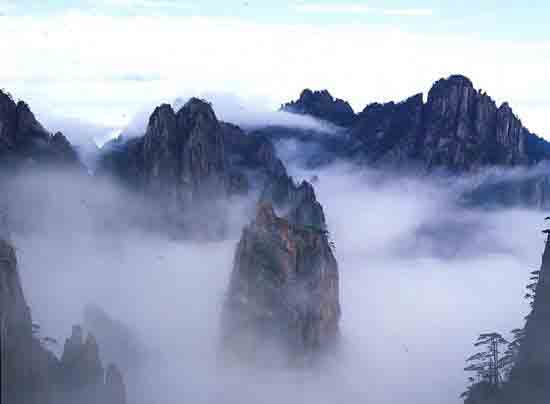 太平区 太平区