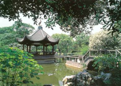 丁香花园 丁香花园