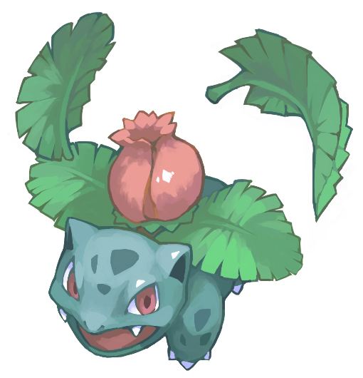 妙蛙草 妙蛙草
