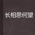 长相思何望 长相思何望